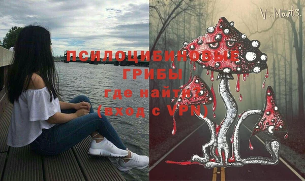 дживик Елизово