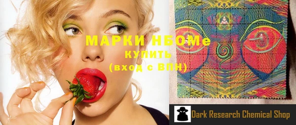 бошки Ельня