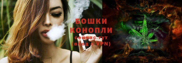 бошки Ельня