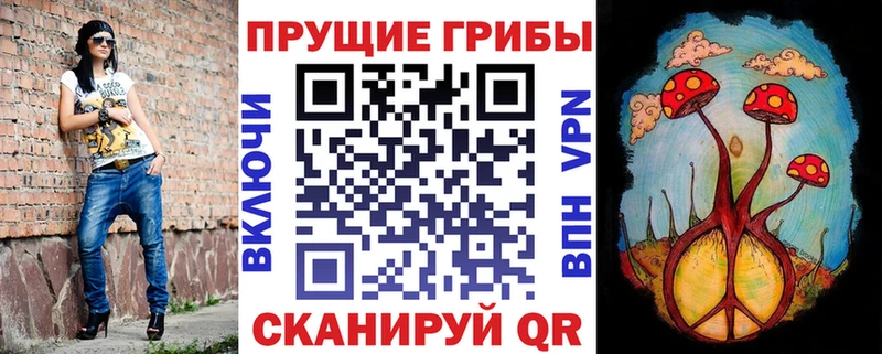 дарнет шоп  Улан-Удэ  Галлюциногенные грибы мицелий 