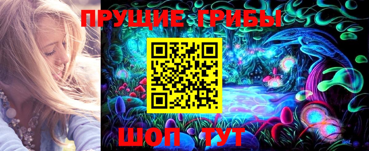 Псилоцибиновые грибы Psilocybe  Вход с VPN  Улан-Удэ  Псилоцибиновые грибы Psilocybe 