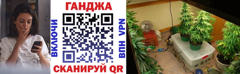 Конопля VHQ  где продают   Улан-Удэ 